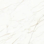 Europa Gold l Керамогранит белый 60x60 Матовый Карвинг