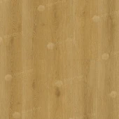 ЕСО 21-23 Элиас