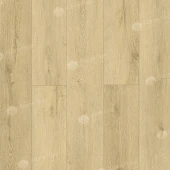 ЕСО 21-36 Фореста ЕСО 21-36 Фореста