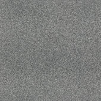 VENUS 5