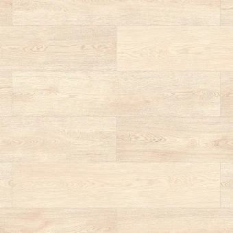 56696 Дуб Берген / Bergen Oak