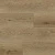 6403 Дуб Флавио Золотой 6403 Дуб Флавио Золотой