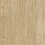STATUS Trevis 2 STATUS Trevis 2