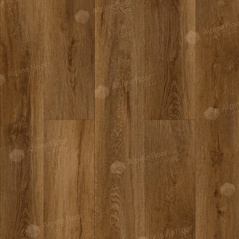 ЕСО 21-24 Ноктюрн