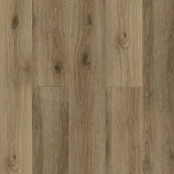 Signi 1001-15 Signi 1001-15