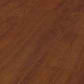 2986 Тик Борнео