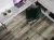 1004-1301 Foresta