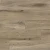 8305 Дуб Бургундский 8305 Дуб Бургундский