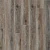 Дуб Тонгасс 2007 Дуб Тонгасс 2007