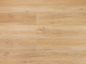 Дуб Монтара 