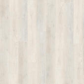   5637 Дуб Эклипс