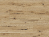 62503 Дуб Кальяри FSC