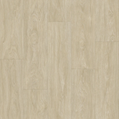 CLUB MAXIMUS 1; MAXIMUS 2 CLUB MAXIMUS 1; MAXIMUS 2