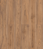 50827 Дуб Маноло