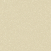 ASPECT 21М ASPECT 21М