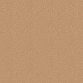 Tempo Plus 1006 Tempo Plus 1006