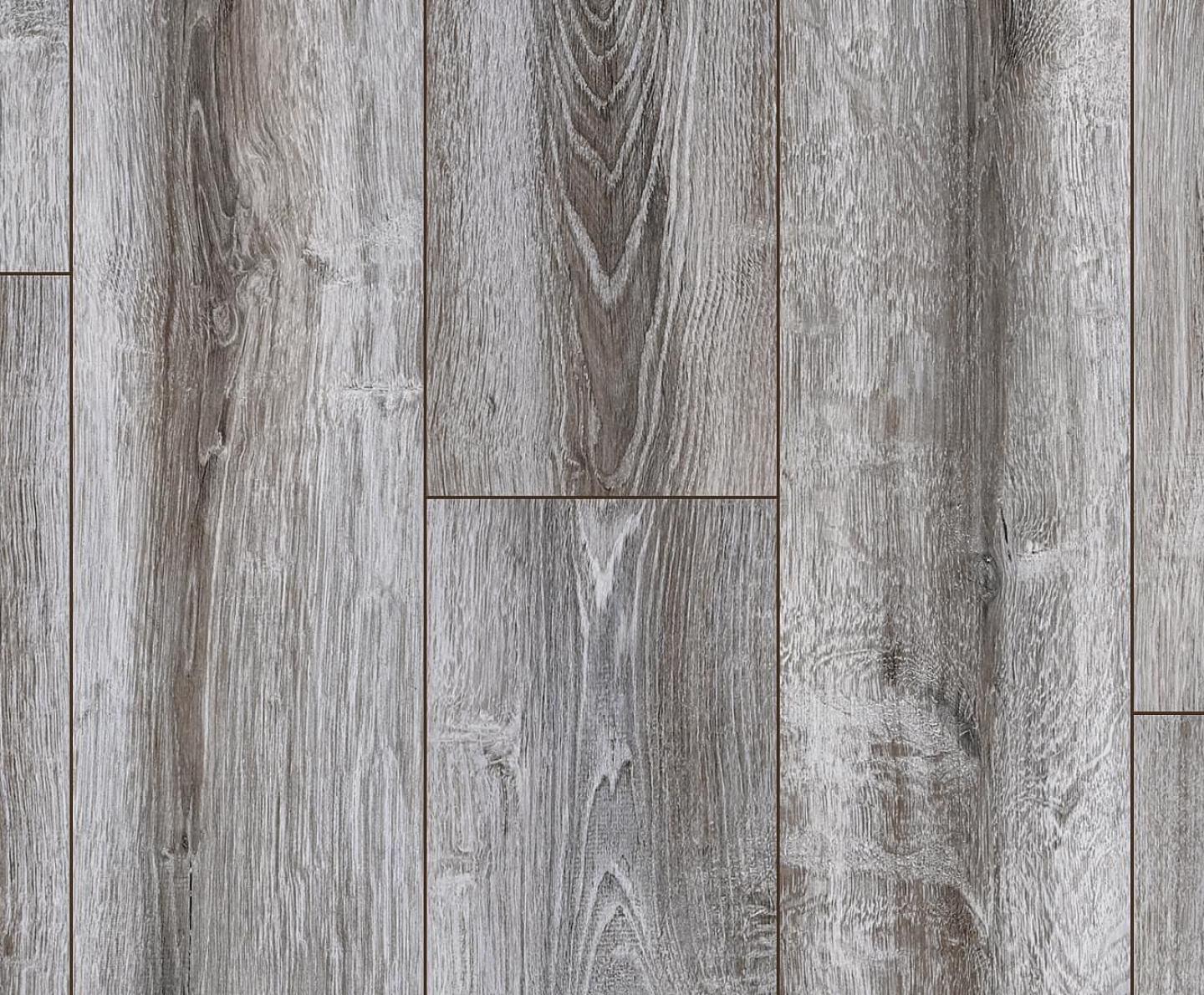 BLA005 Сосна Асахи