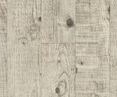 FP576 Сосна Ренесанс