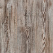 08 Сосна Шик