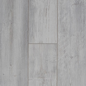  FP1101 Дуб Паланга