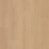 CRAFT OLBANY 2 CRAFT OLBANY 2