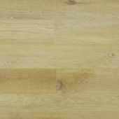 SU1206 Дуб Тангба