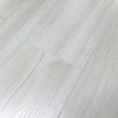 Дуб северный