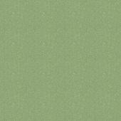 Tempo Plus 1009 Tempo Plus 1009