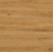 6610 Дуб золотистый