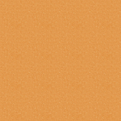 Tempo Plus 1011 Tempo Plus 1011