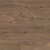 618 Дуб Ченнаи