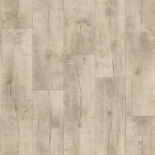 IDYLLE NOVA - Saratoga 5