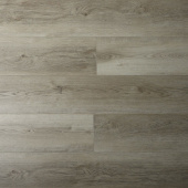 16168 Дуб Стаффорд