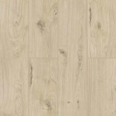 50747 Дуб Бирта