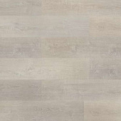 6612 Дуб серебристый