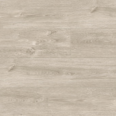 620 Дуб Богота 