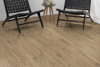 EPL018 Дуб Ла-Манча