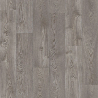 ФАВОРИТ CARTER 1;  CARTER 4 ФАВОРИТ CARTER 1;  CARTER 4