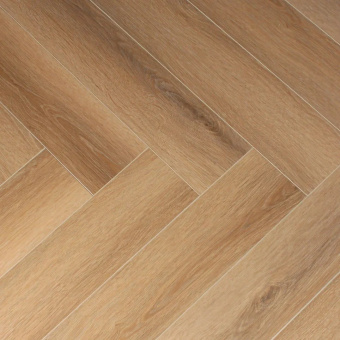 1616079 Дуб Хамаль