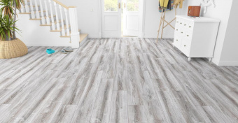 BLA005 Сосна Асахи