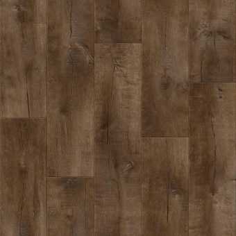 GLADIATOR SARATOGA 1; SARATOGA 3 GLADIATOR SARATOGA 1; SARATOGA 3