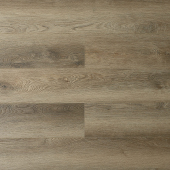 16185 Дуб Лауфен