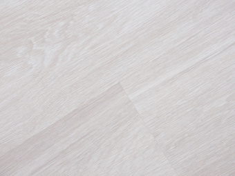 Акация Белая