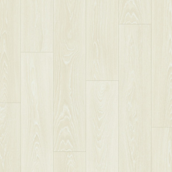 CLH 5798 Дуб морозный