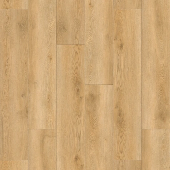 6991 Дуб Купер