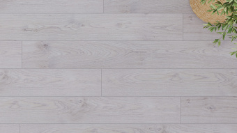 LM28 Дуб Ардена