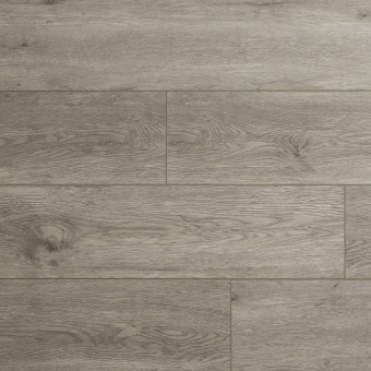 J403 Дуб Джеймс