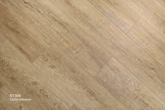 ST306 Дуб Хурдал