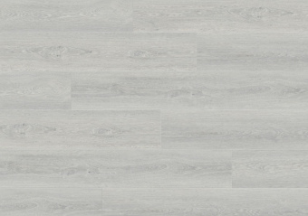 Дуб светлый гладкий ASPC20249