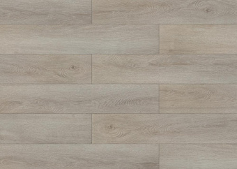 3306 Дуб чуррос